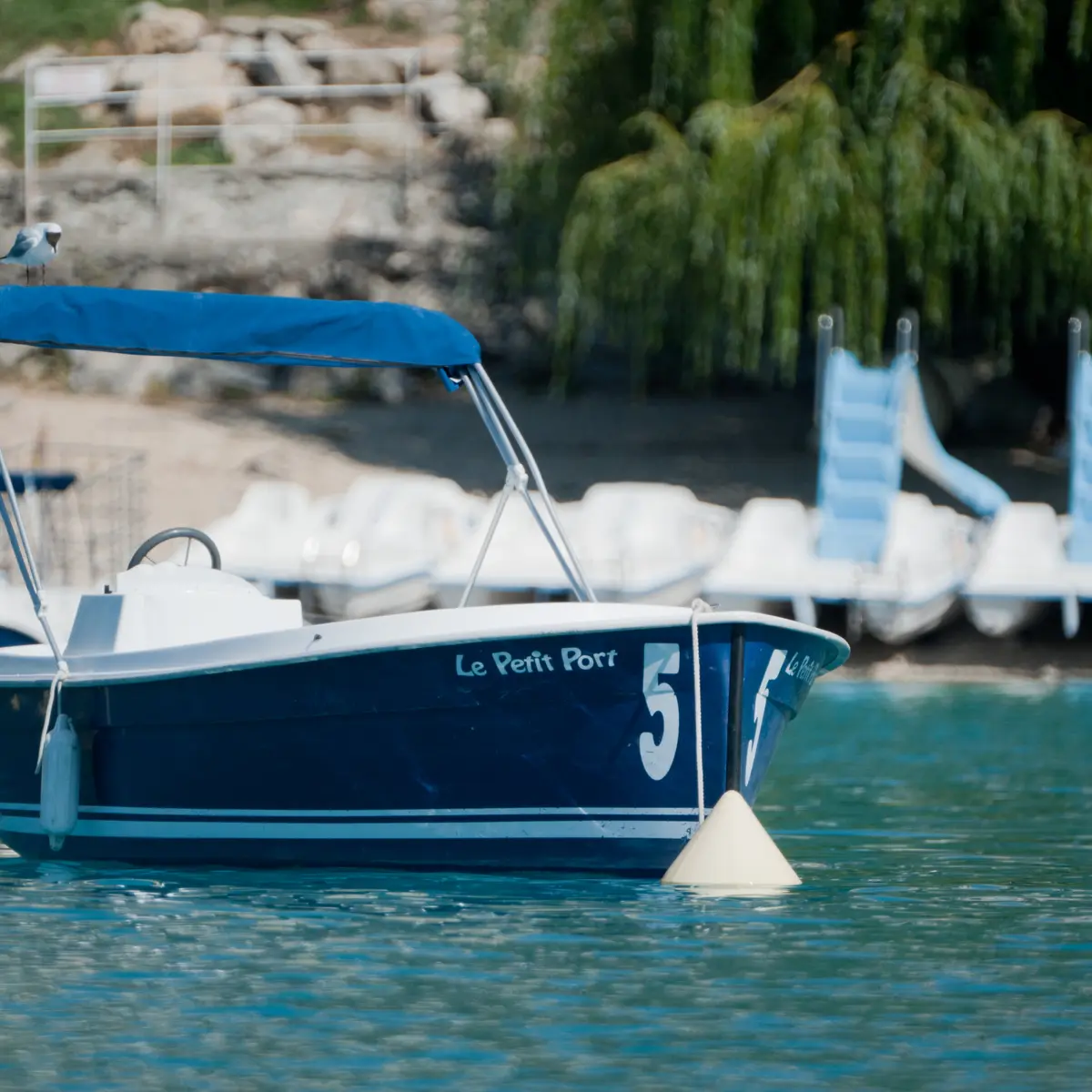Le Petit Port