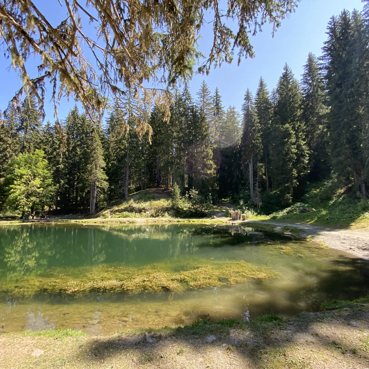 Lac des Evettes