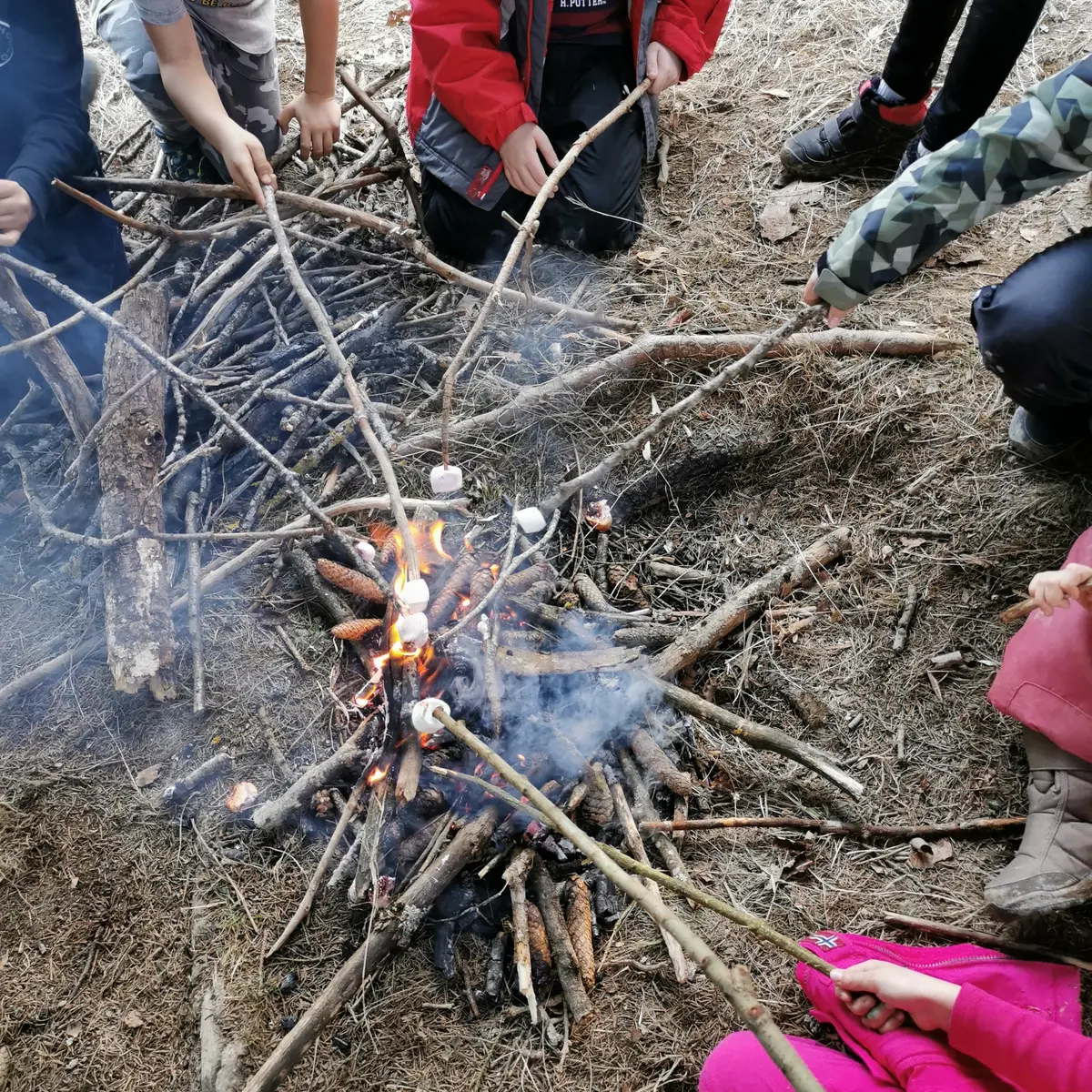 Chamallow grillés