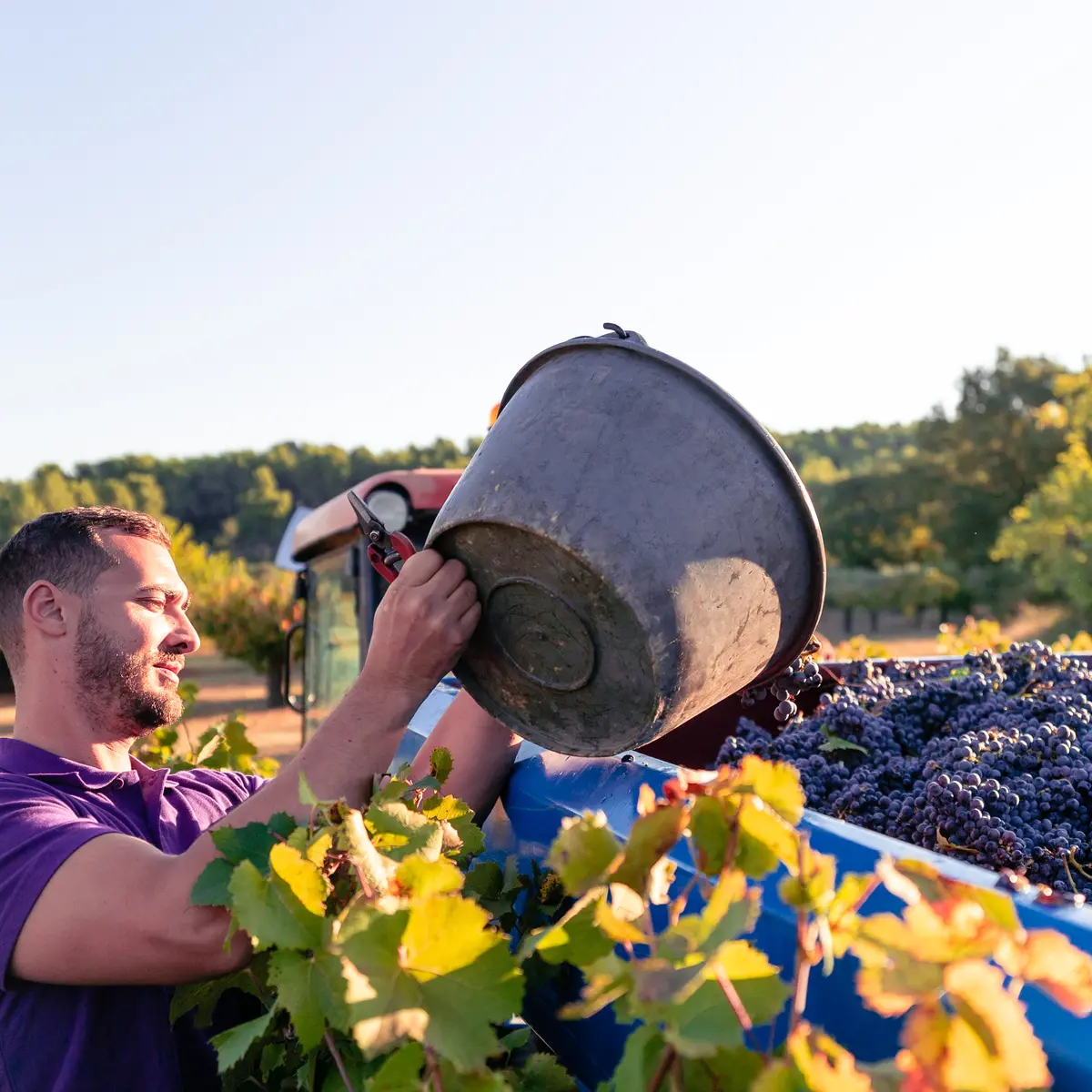 Domaine des Hauts Traversiers