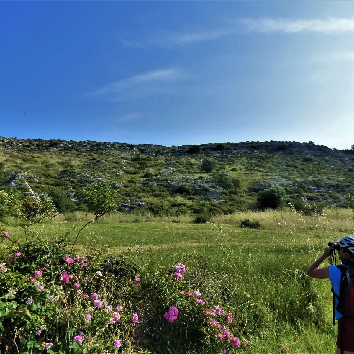 Observation d'oiseaux, colline de la Pécoule
