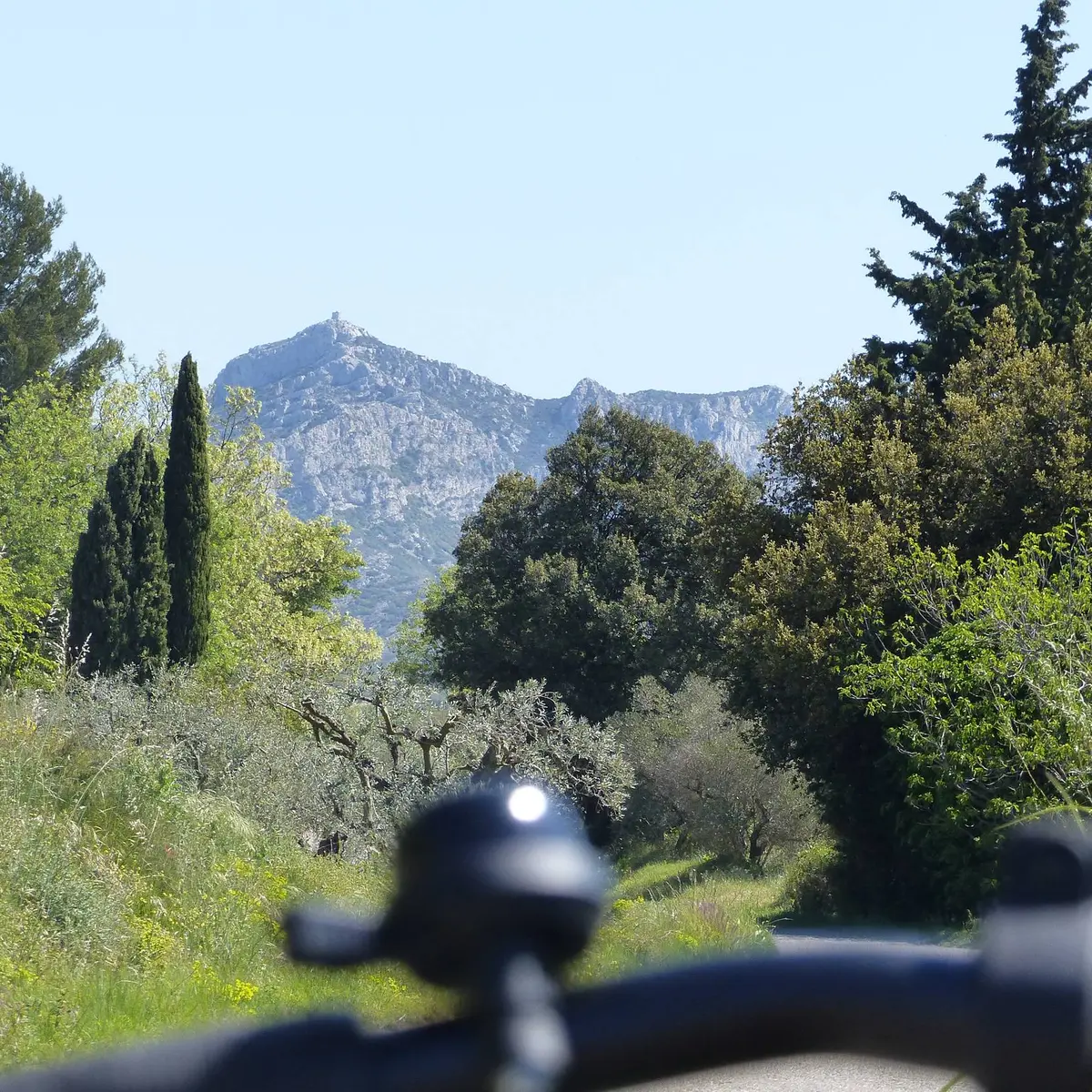 Vue sur la tour des Opies depuis la D24A