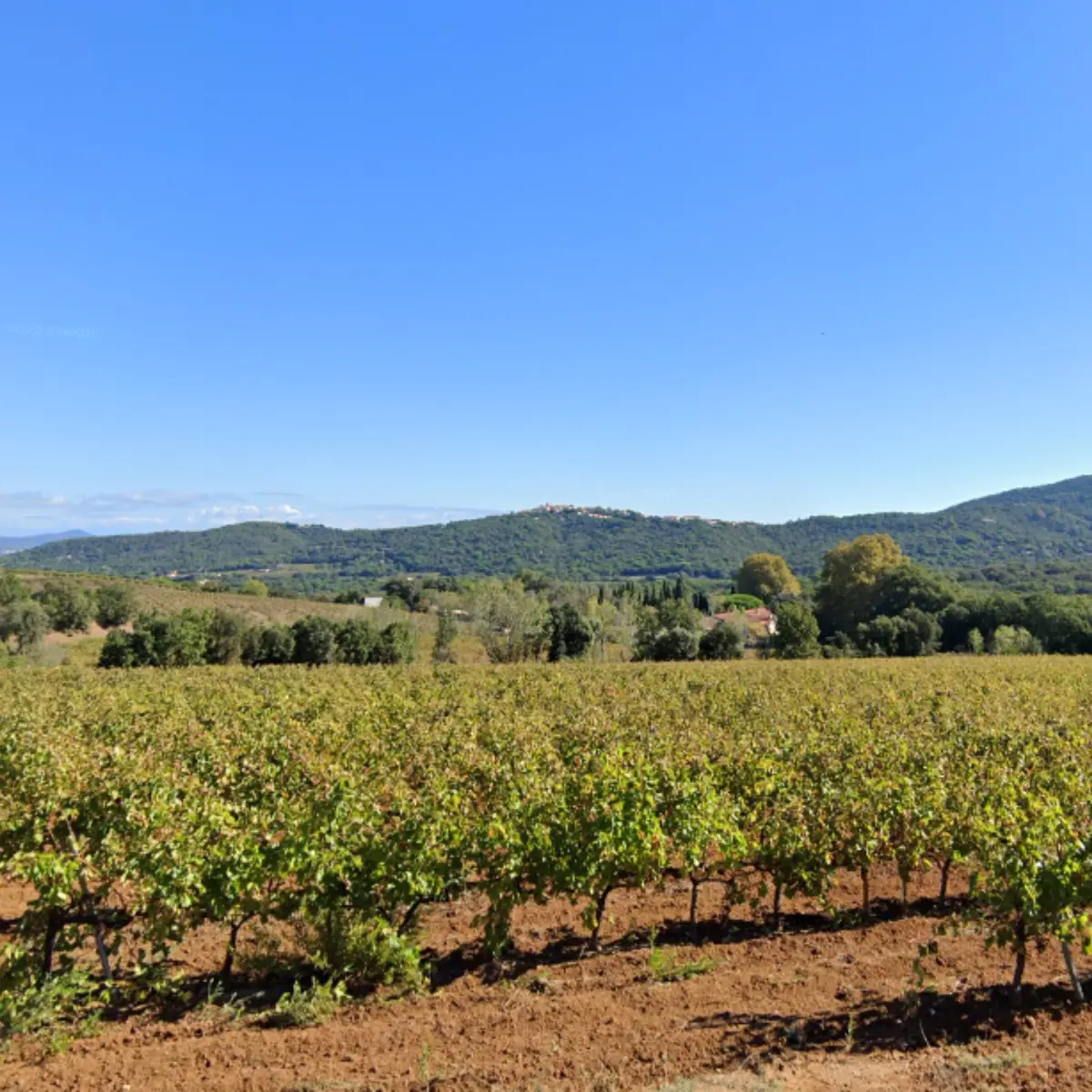 Point de vue