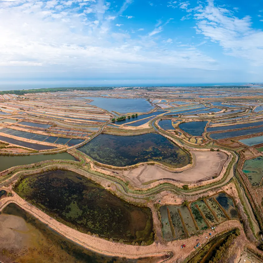 Marismas de la isla de Ré