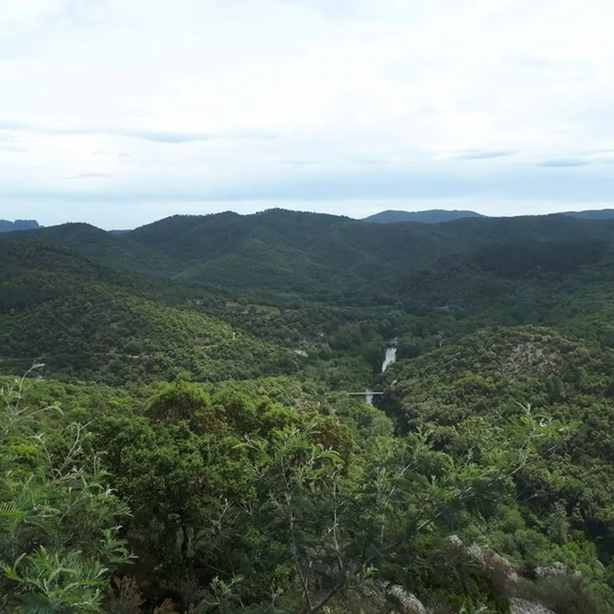 Panorama sur les collines environnantes et verdoyantes