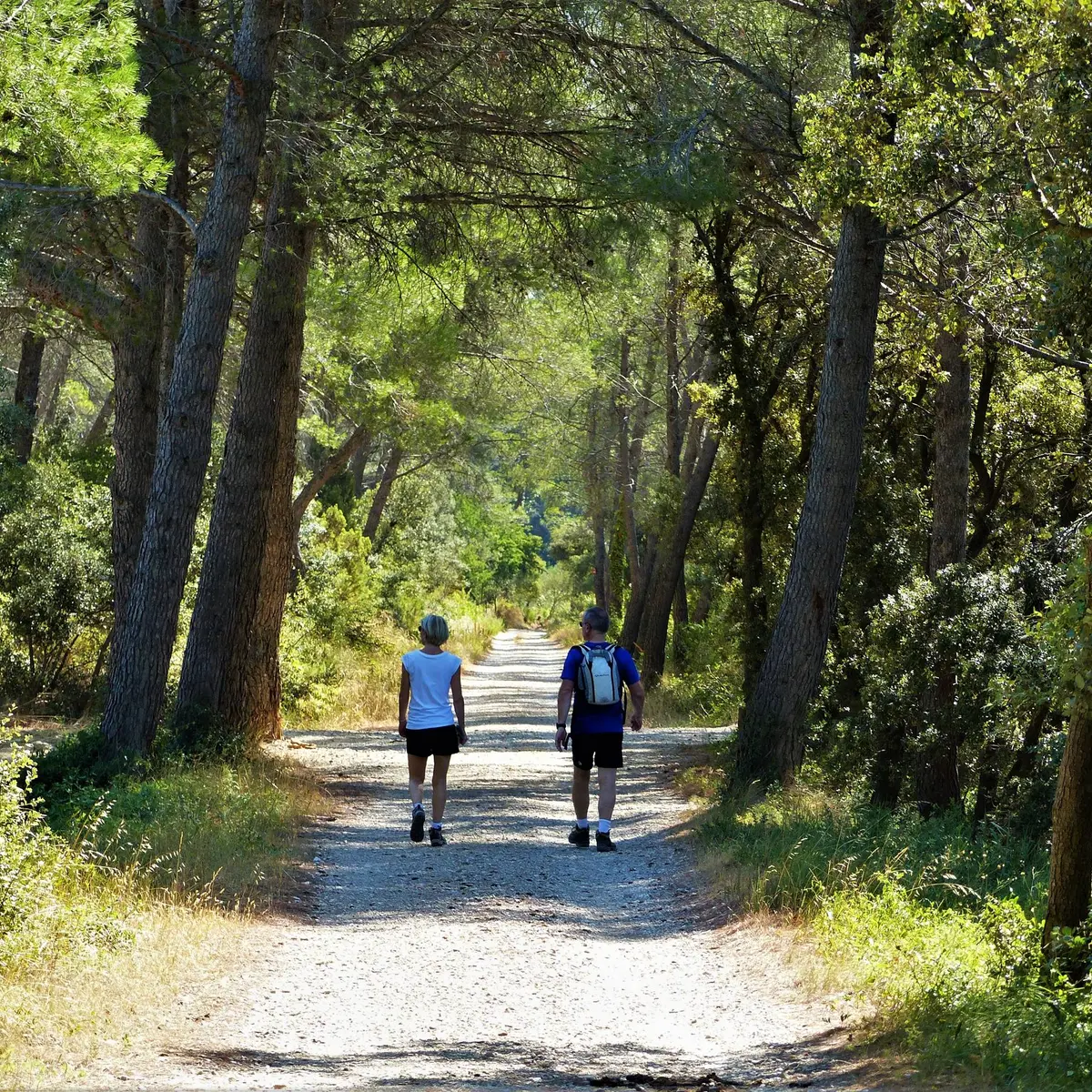 Ancienne ligne ferroviaire Salon-Arles