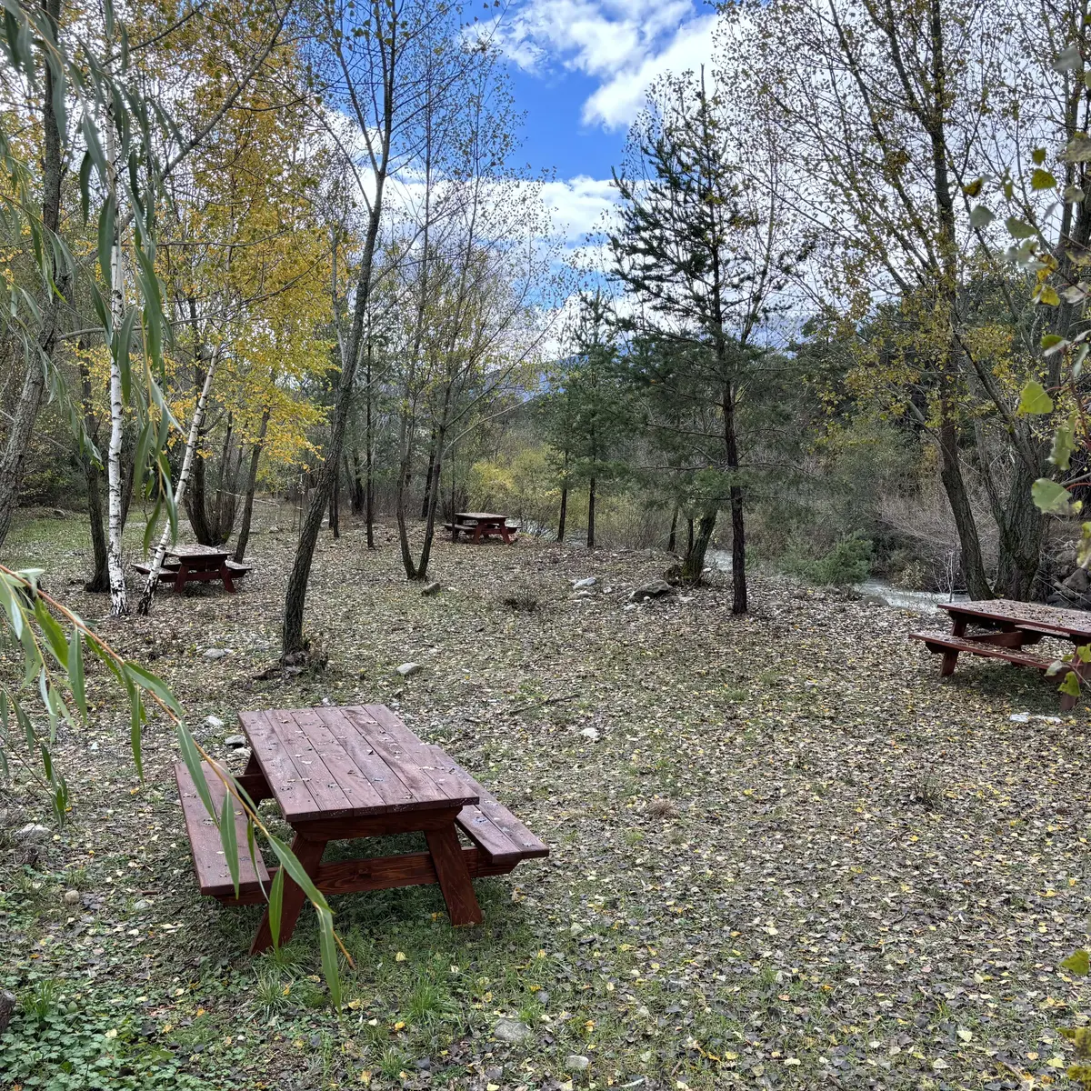 aire Pique-nique la Buissiere Colmars