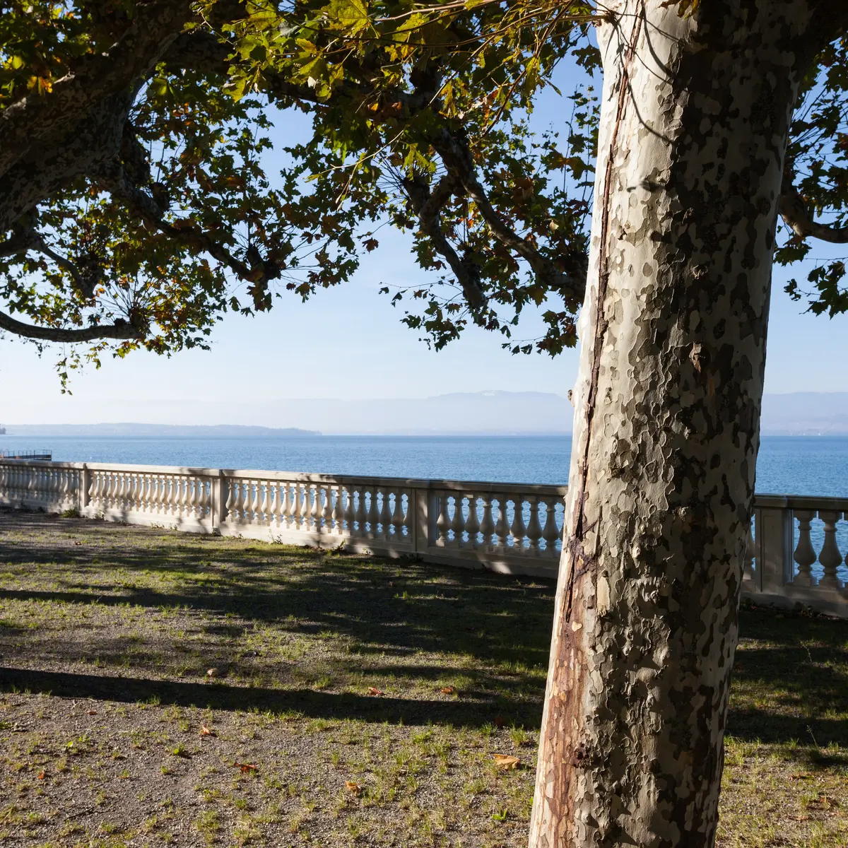 Parc de Corzent
