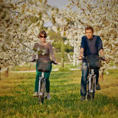 Road trip en Provence 1