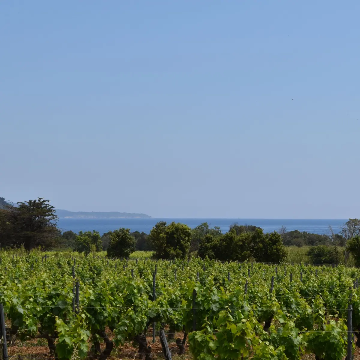 Vue sur le fort de Brégançon ainsi que la Pointe de la Galère
