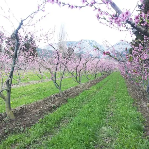 Les Jardins de Gaïa