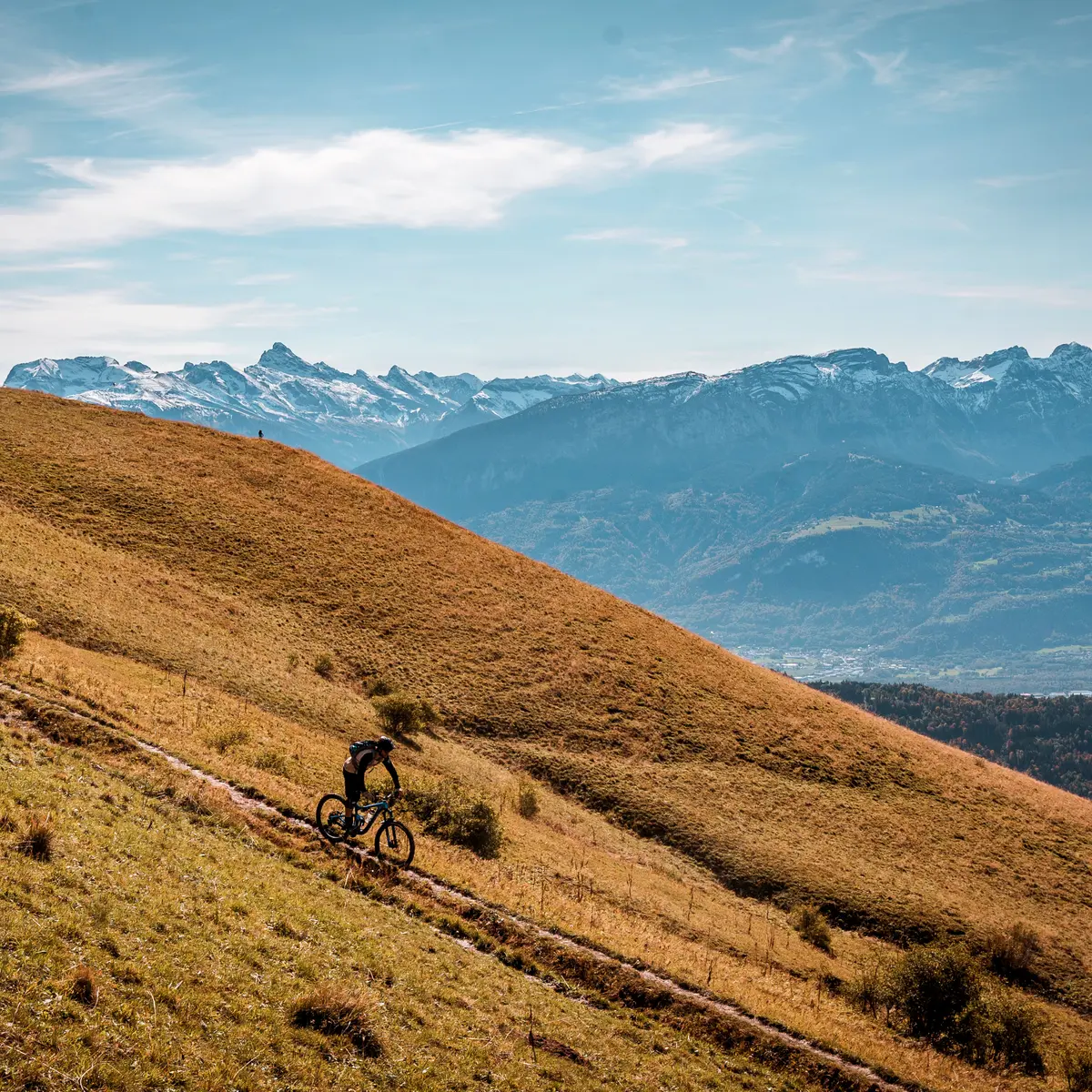Cycliste dans les alpages vue  montagnes