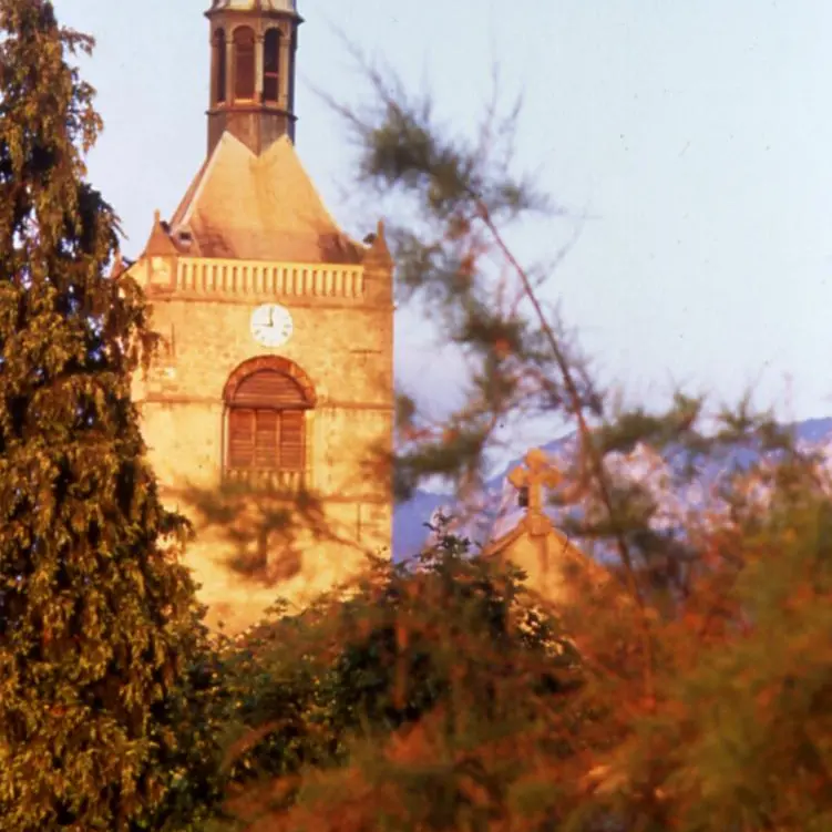le clocher de l'église