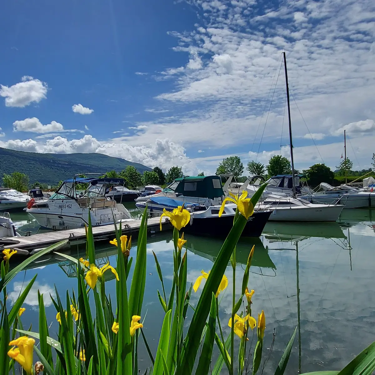 Port de la Vallée Bleue à Montalieu-Vercieu