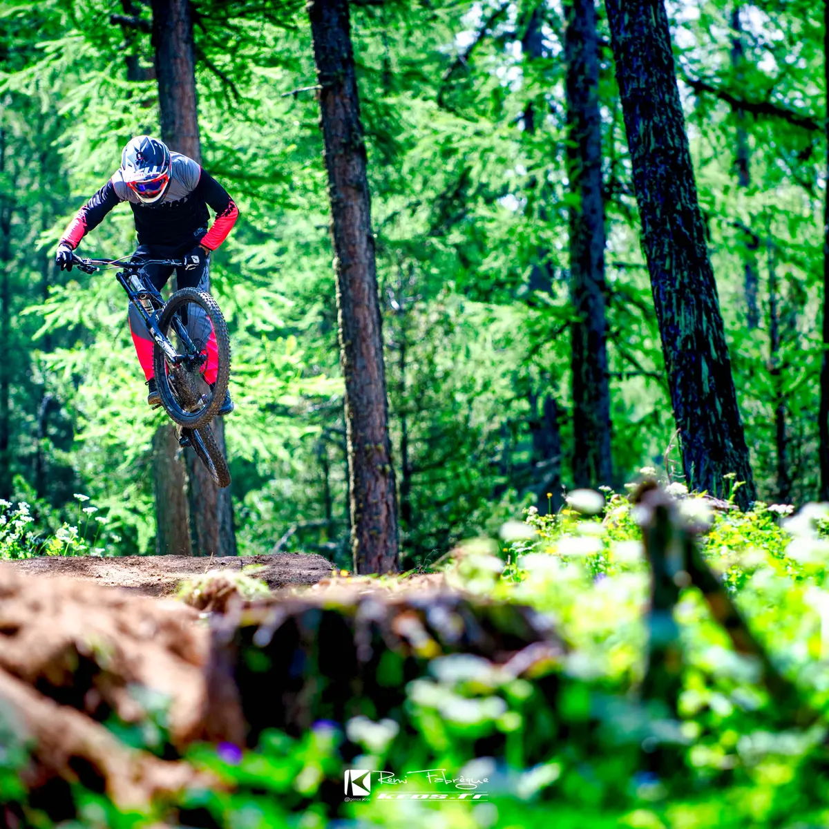 lesorresAmbassadeursJuin2018