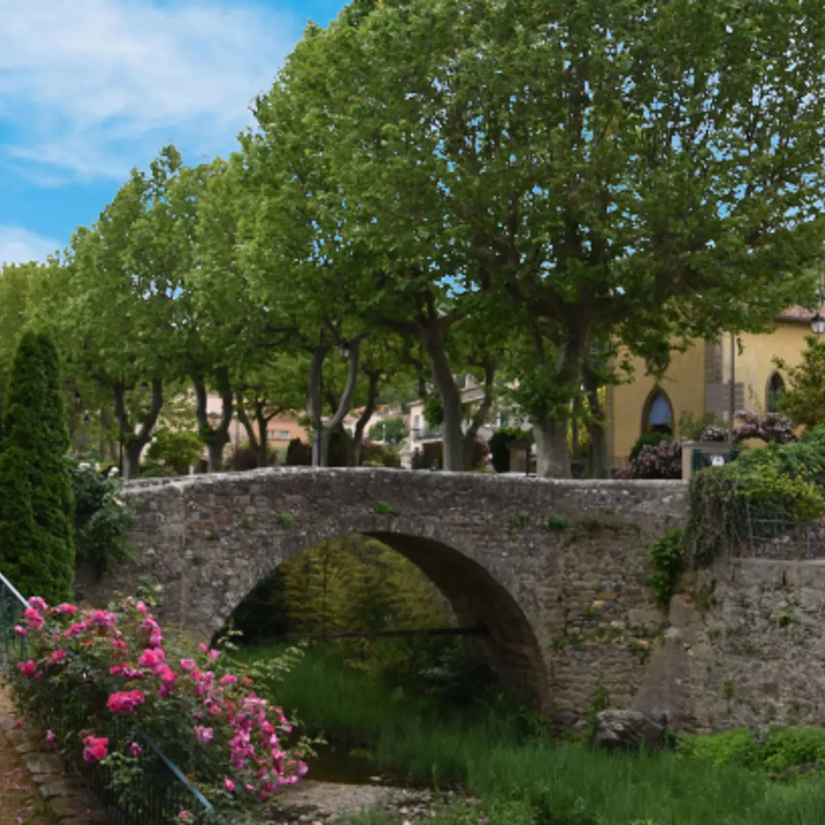 Vue sur le pont en pierre et les grands platanes du centre du village de Collobrières