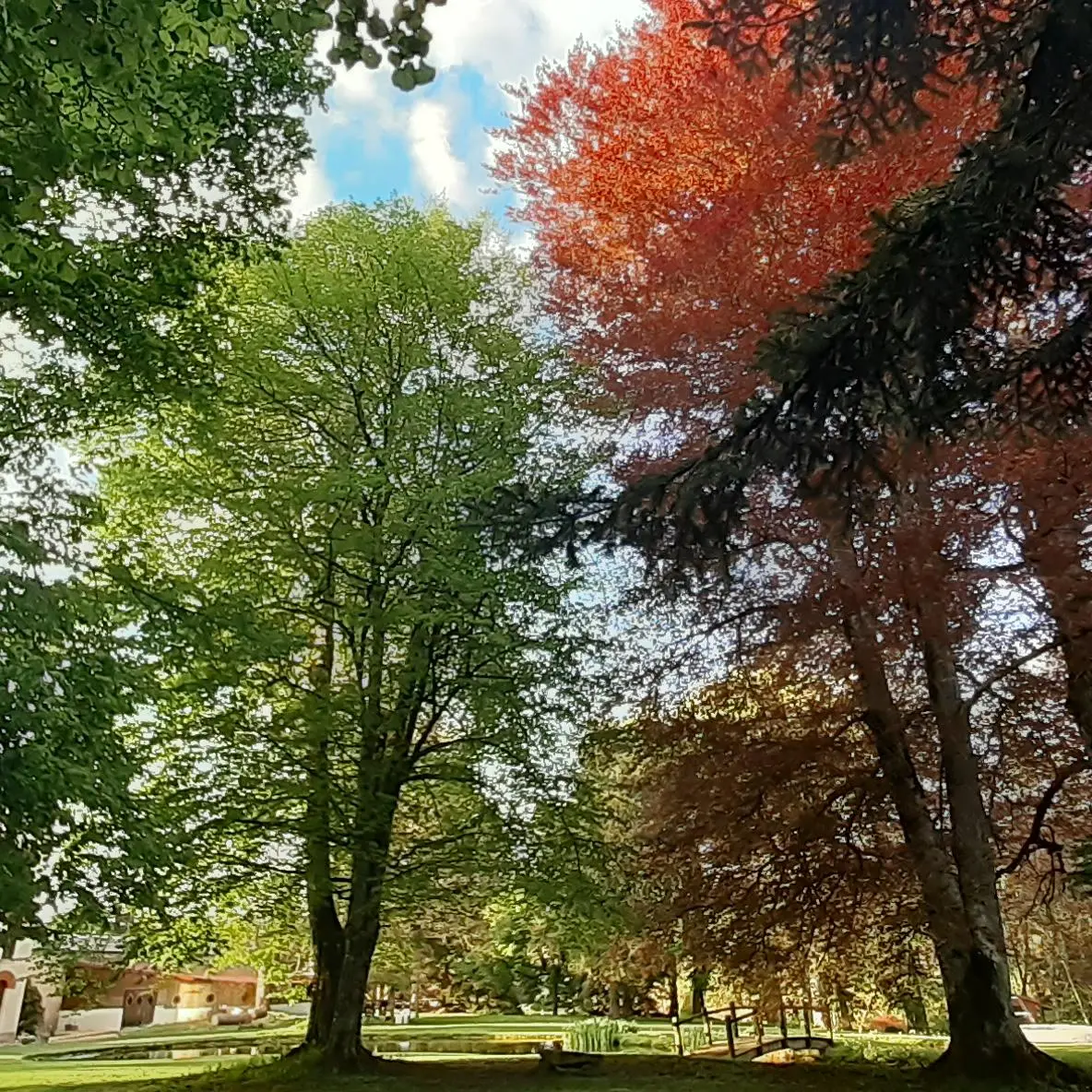 Parc du Domaine de Marchal