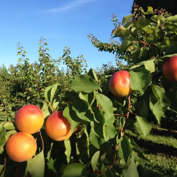 Les Jardins de Gaïa