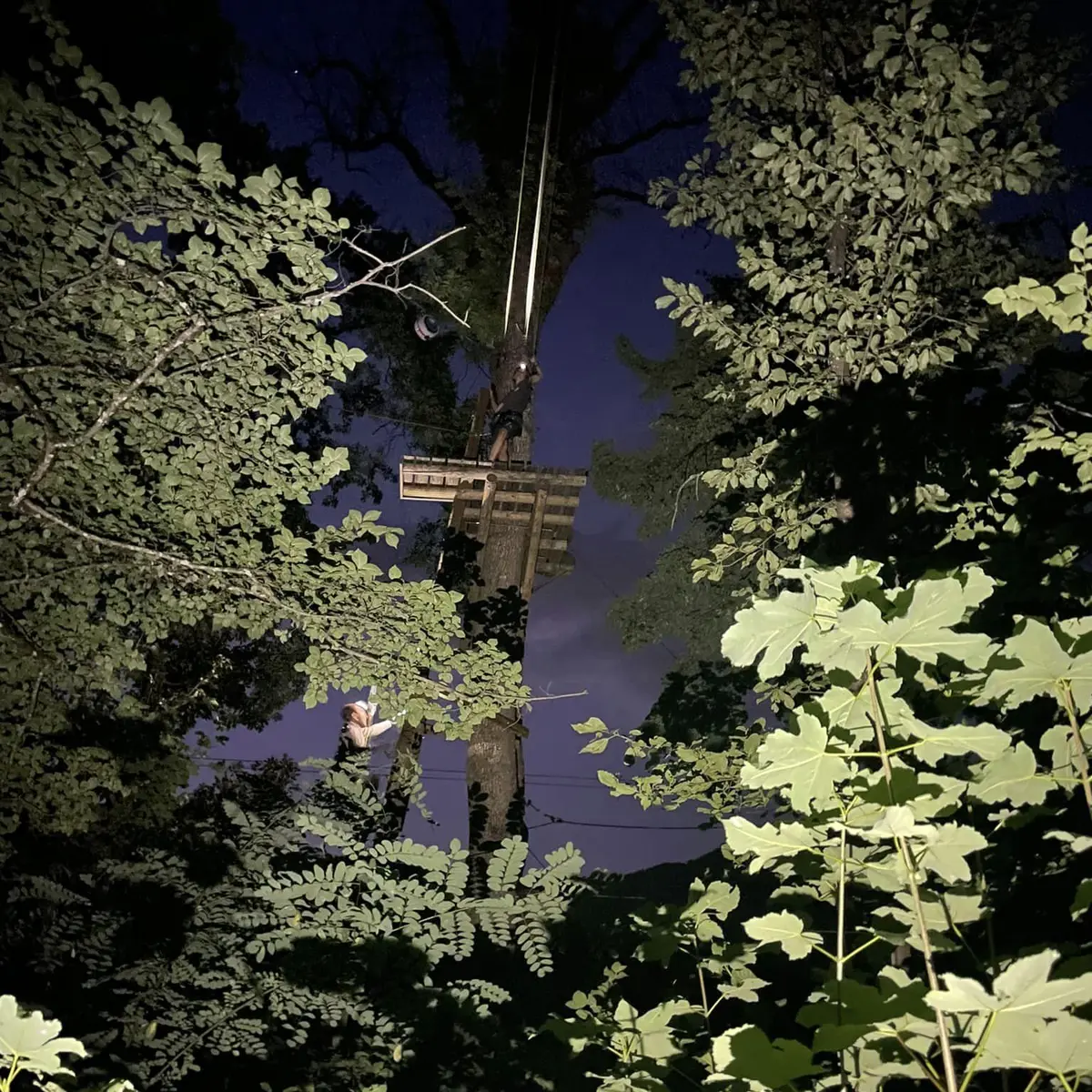 Parcours accrobranche la nuit