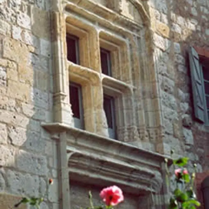 Fenêtres à meneaux - Château de Larrazet