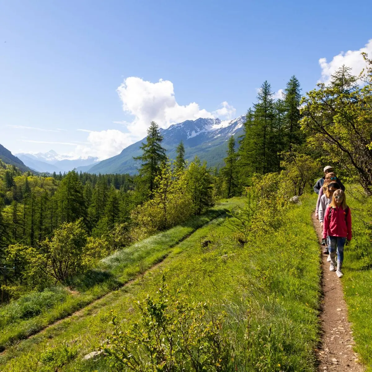 En direction du Lauzet