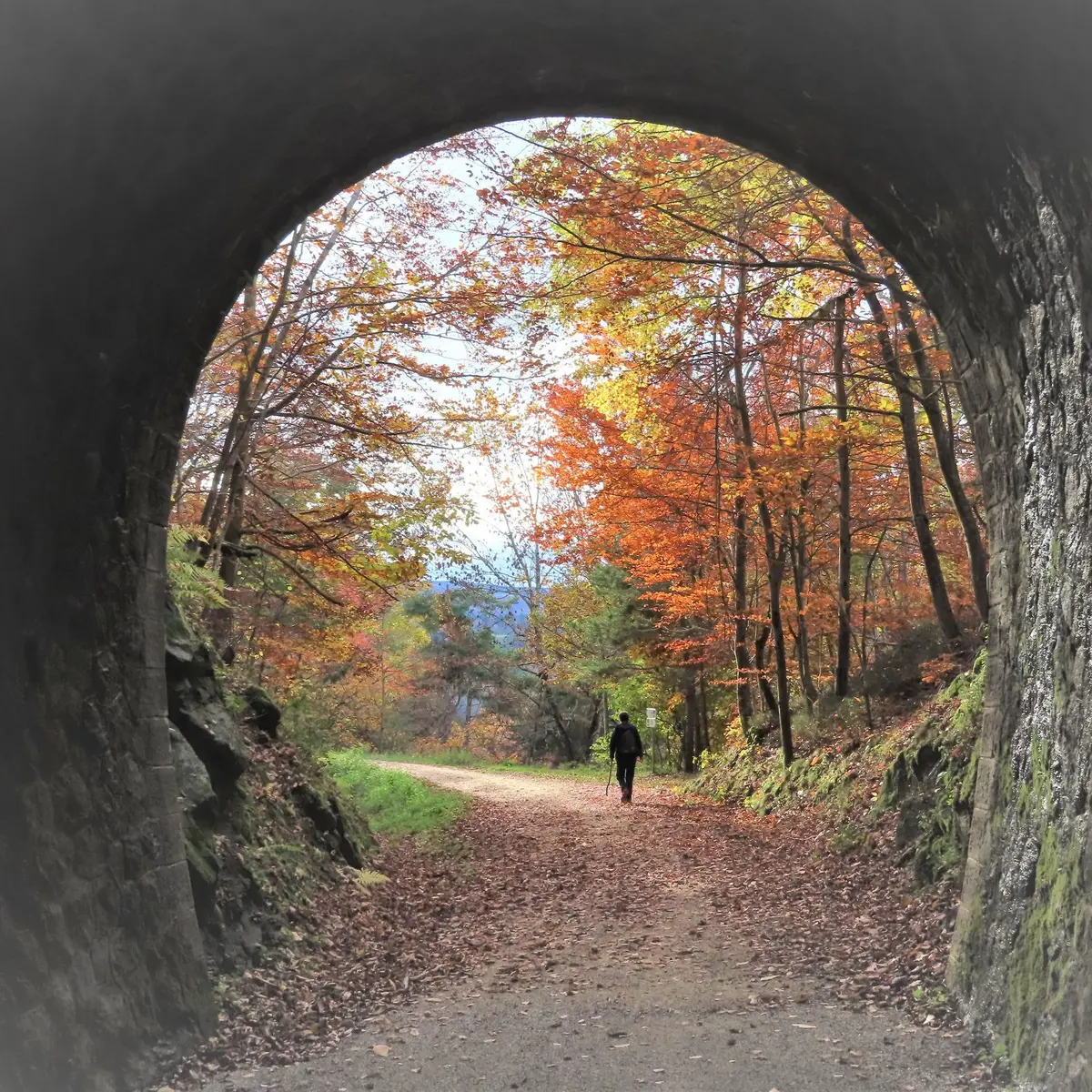 Tunnel sur Intres