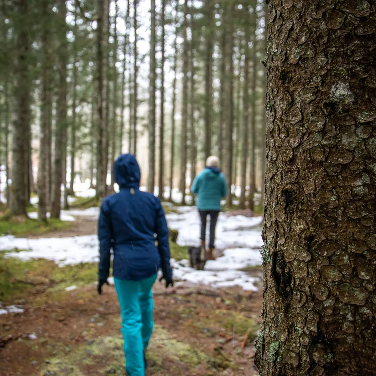 Randonnée sophrologie avec Cécile Demargne