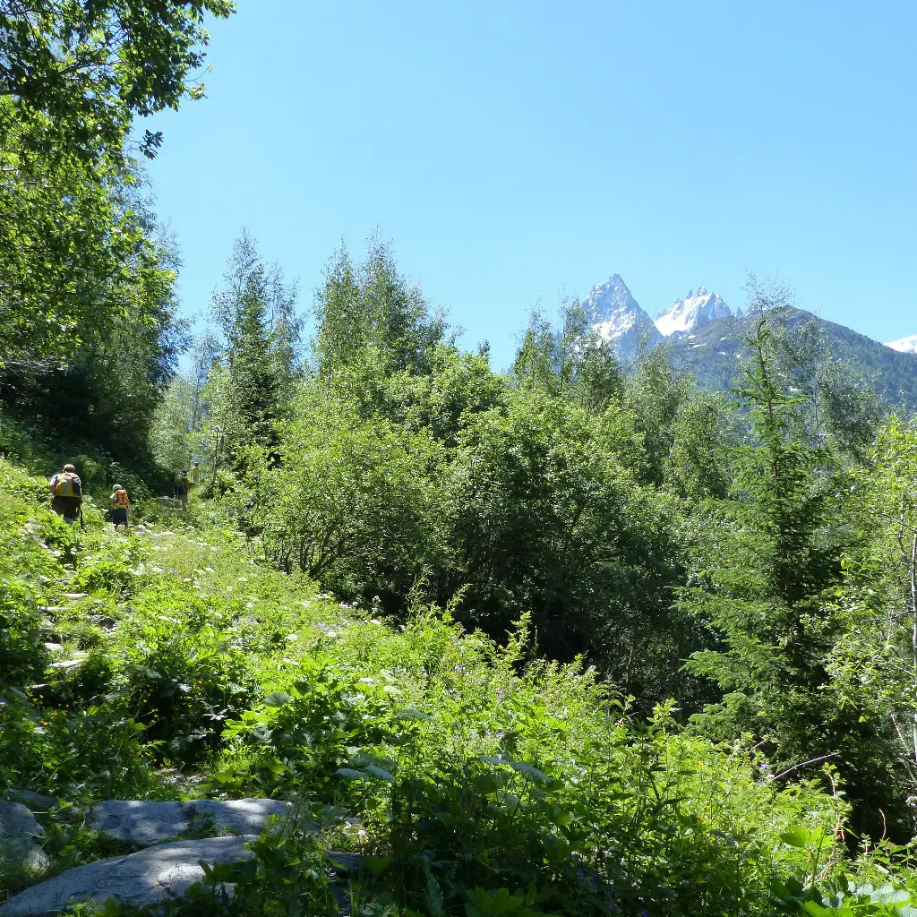 Montée depuis le Lavancher - Photo sous licence Creative Commons https://creativecommons.org/licenses/by-nc-nd/3.0/deed.fr