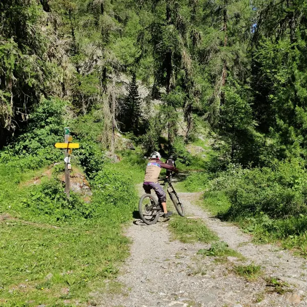 Descente des Orres par le Chef-Lieu - Itinéraire VTT & enduro_Les Orres