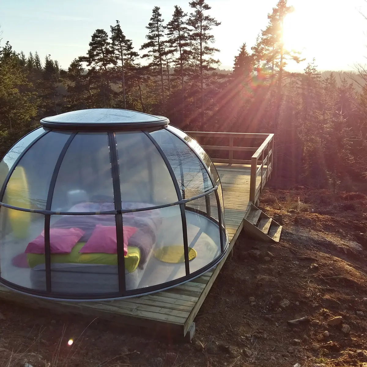 Dôme Etoile Vue imprenable sur la forêt et les montagnes