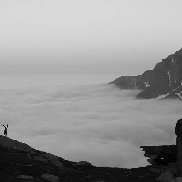 Reserve de biosphere du mont viso