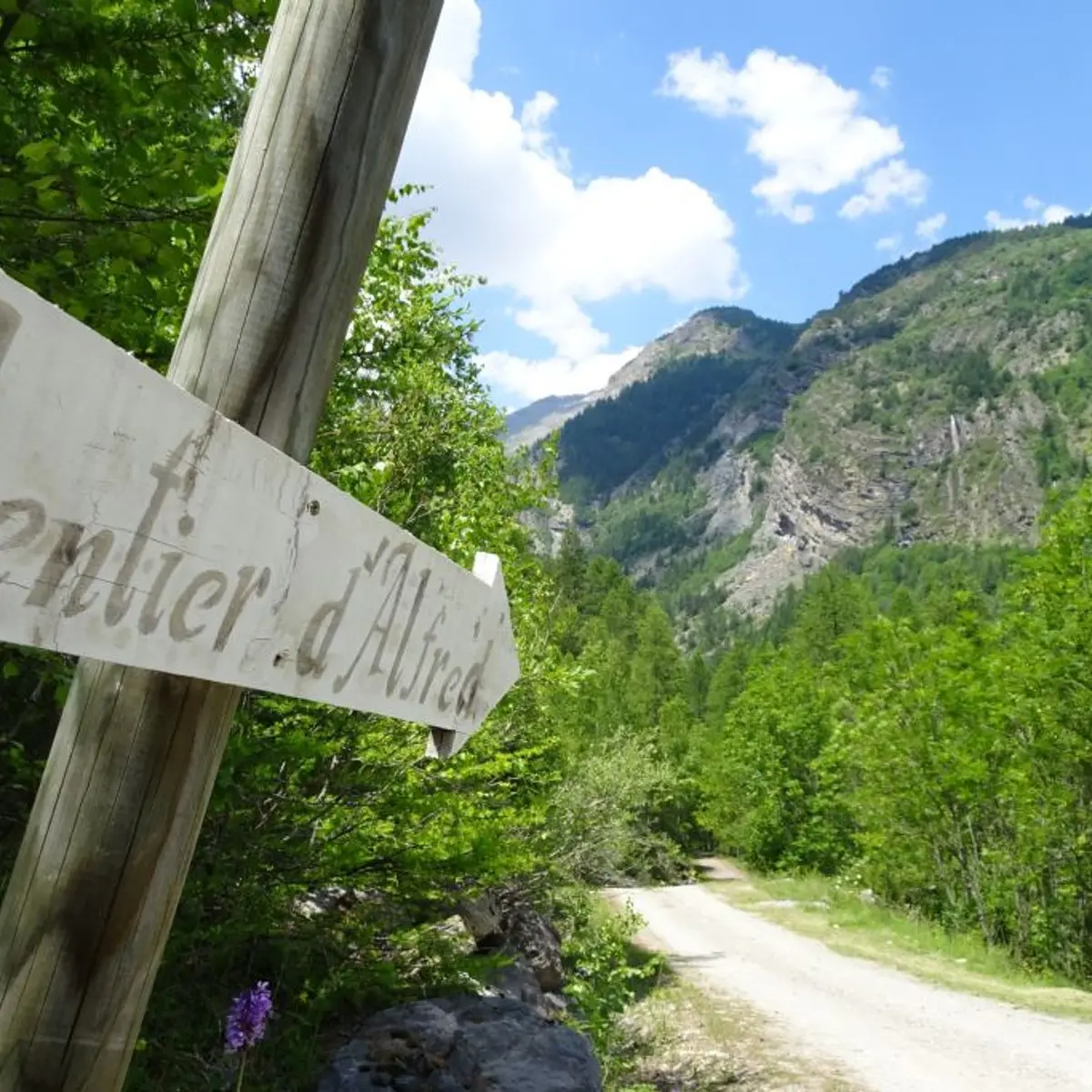 Sentier de Monsieur Alfred