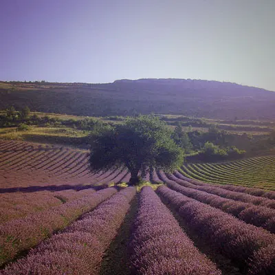 Road trip en Provence 2