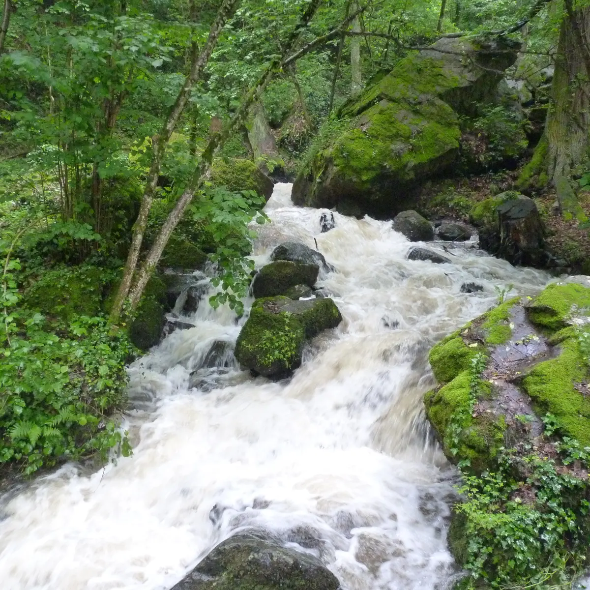 LAmbène à Enval RLV