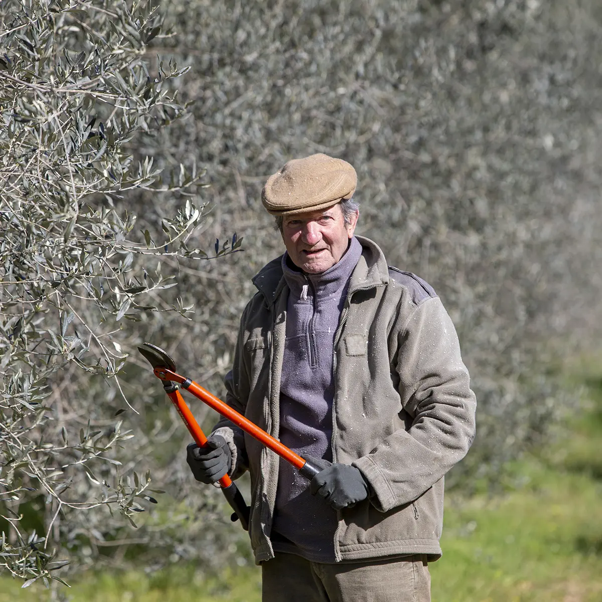 Huile d'olive Gimenez