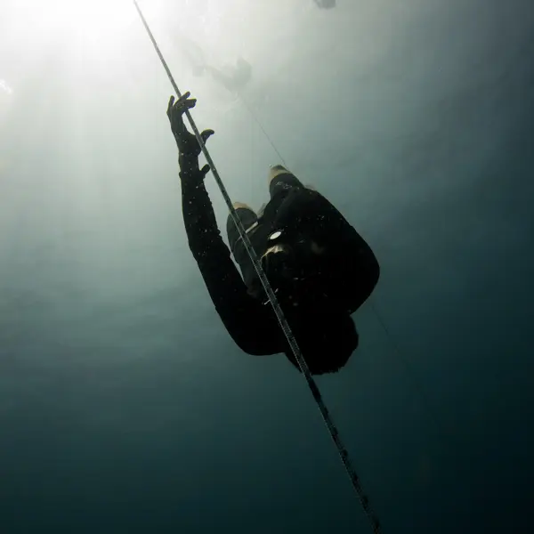 Découverte de l'apnée