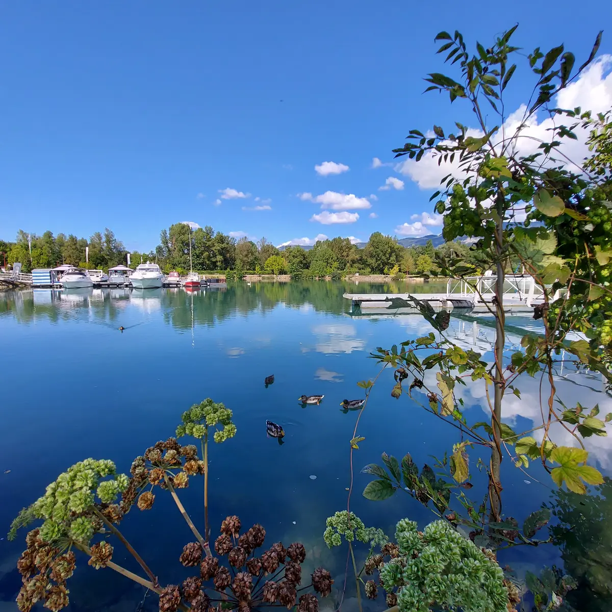 Port de la Vallée Bleue à Montalieu-Vercieu
