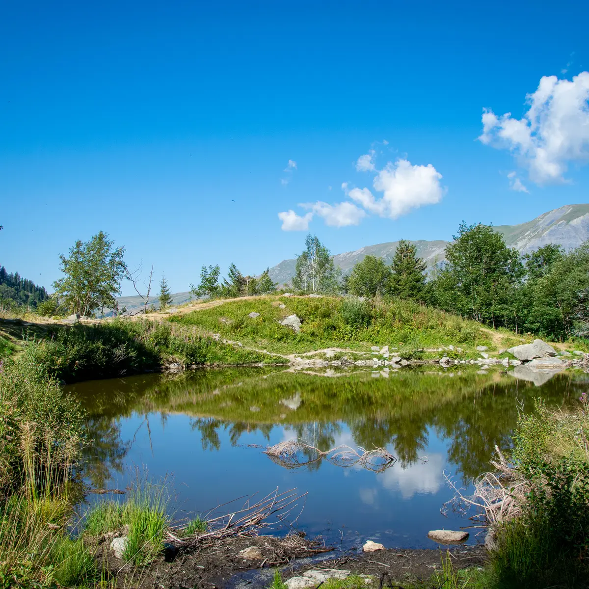 Lac d'armancette les contamines montjoie réserve naturelle des contamines montjoie