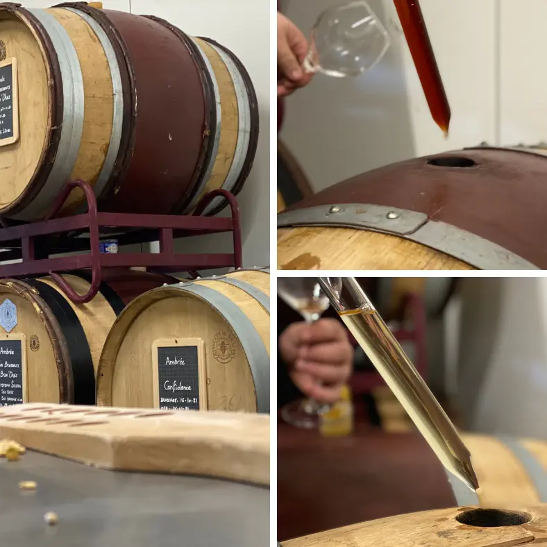 Les Brasseurs Bran'Chais