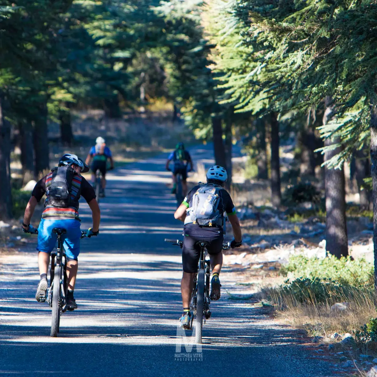 Forêt des Cèdres - ebike