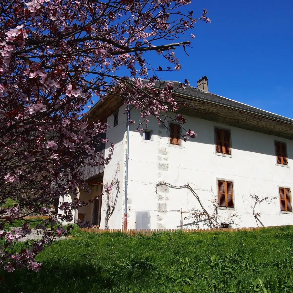 Manoir de la Tour à Thônes