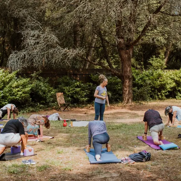 Le Bois Saint-Martin