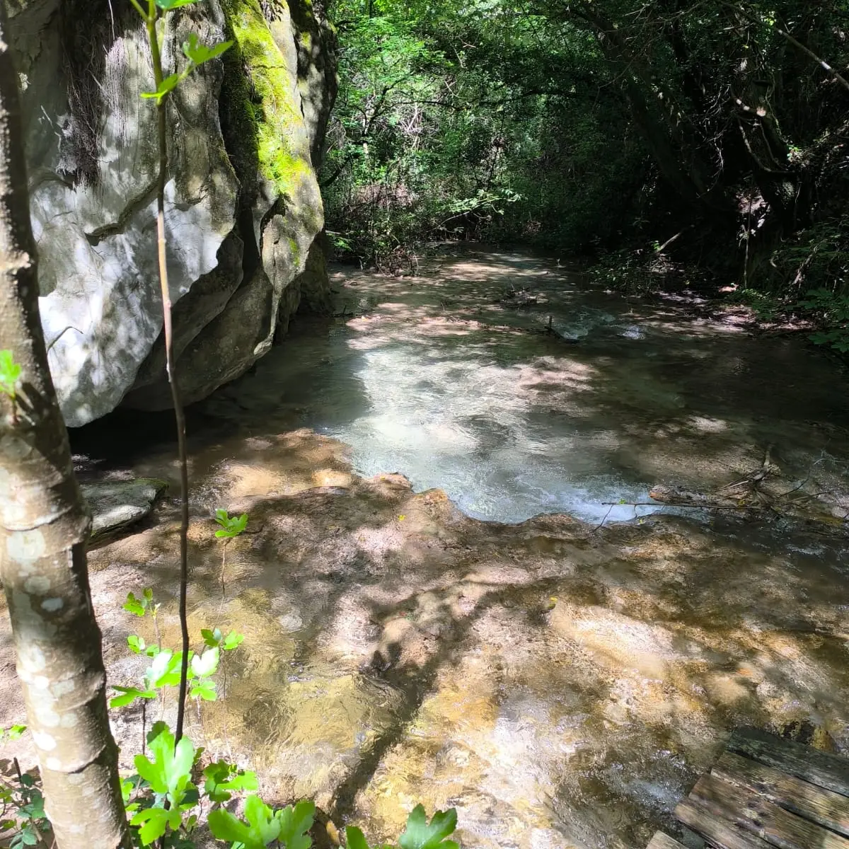 Écobalade : Au Fil de l’eau_Volonne ©OT
