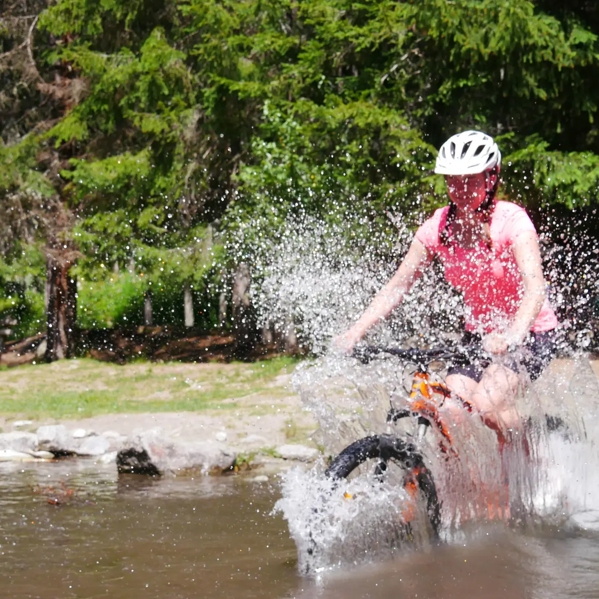 Evolution2-Chamonix-VTT Intermédiaire