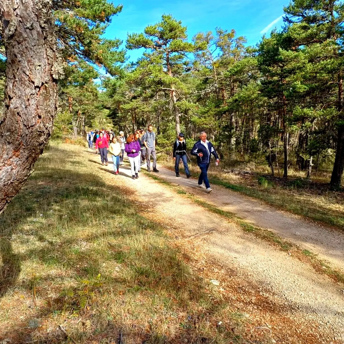 Sur les traces de la préhistoire