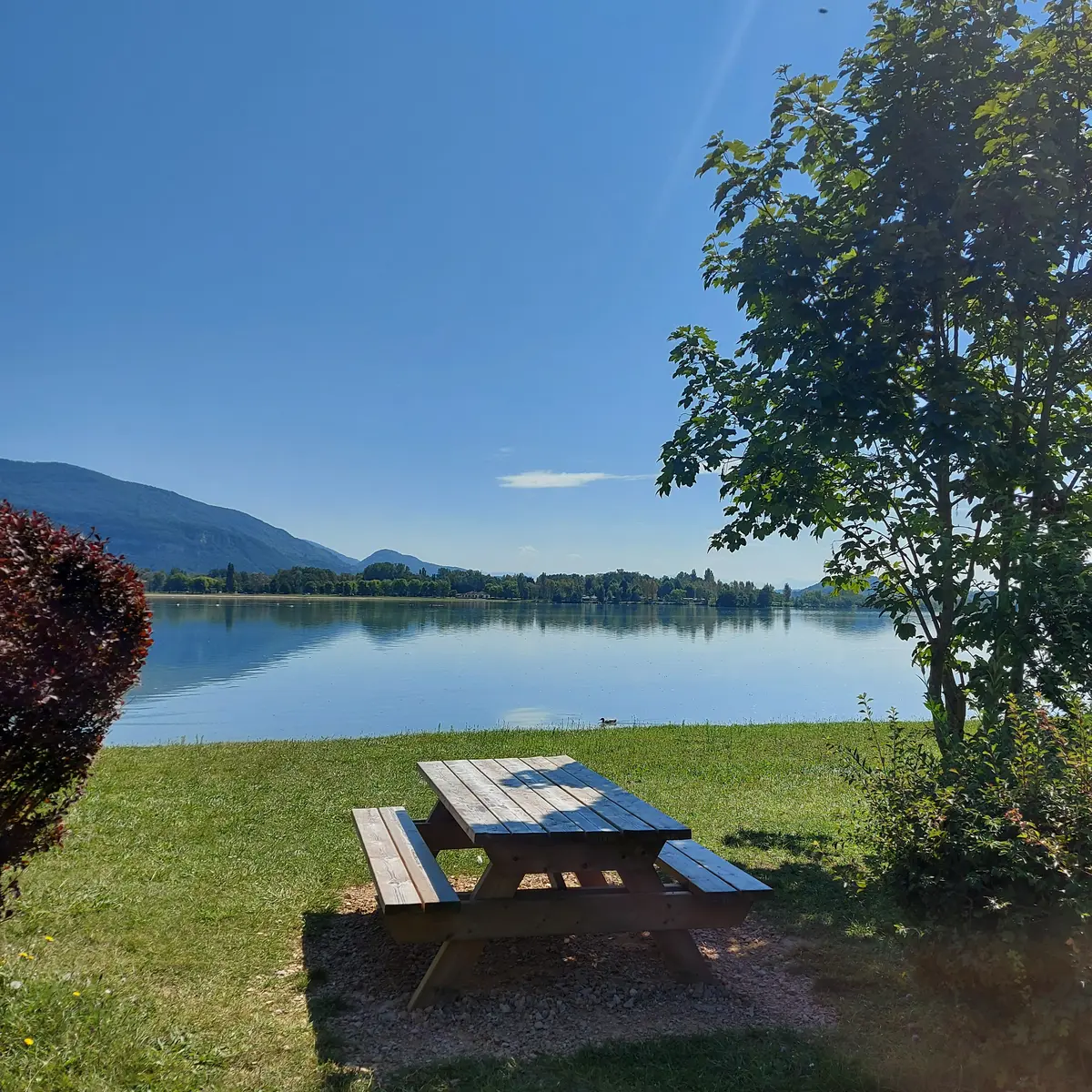 Aire de pique-nique à la Vallée Bleue, Montalieu-Vercieu