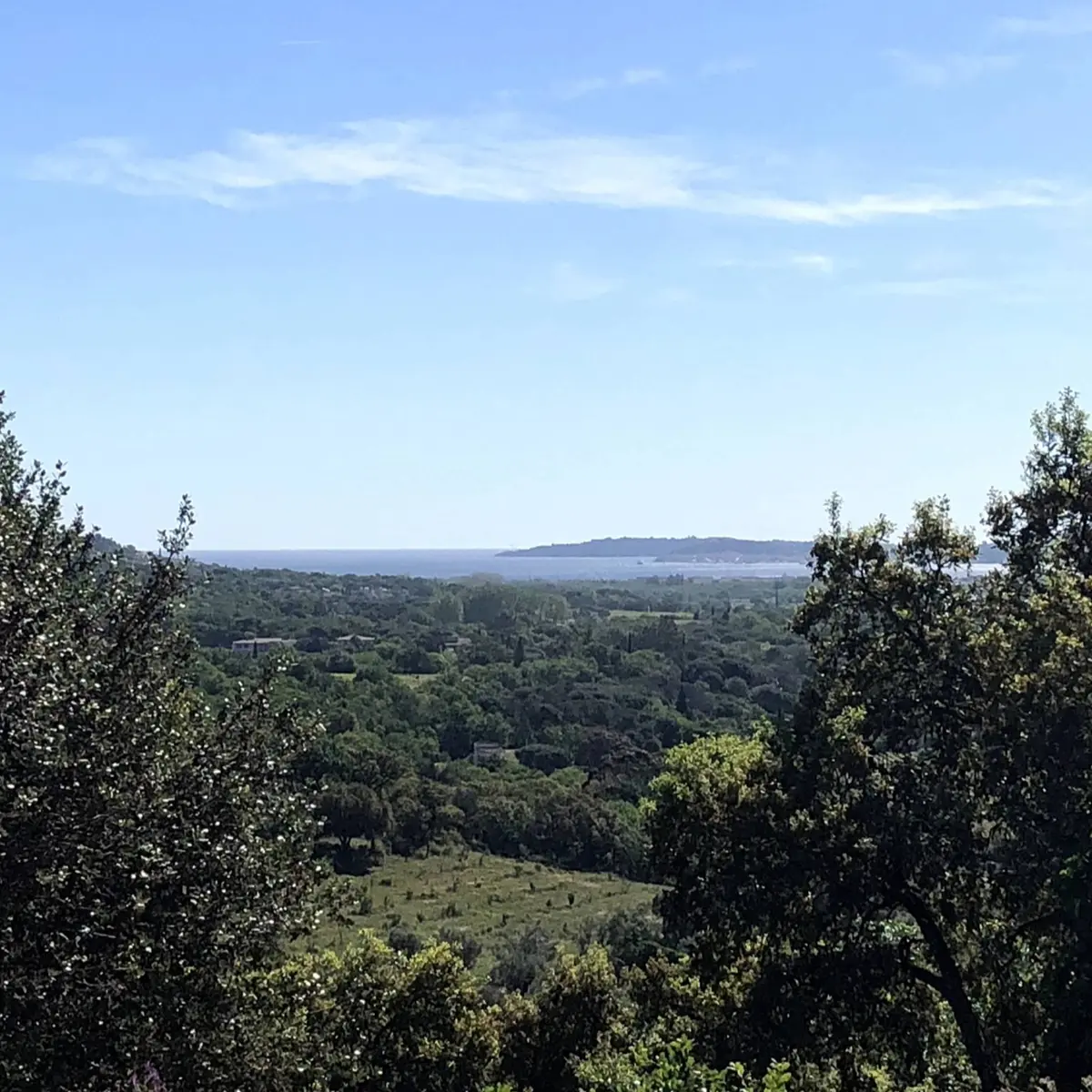 Panorama des collines verdoyantes de Grimaud et ses alentours