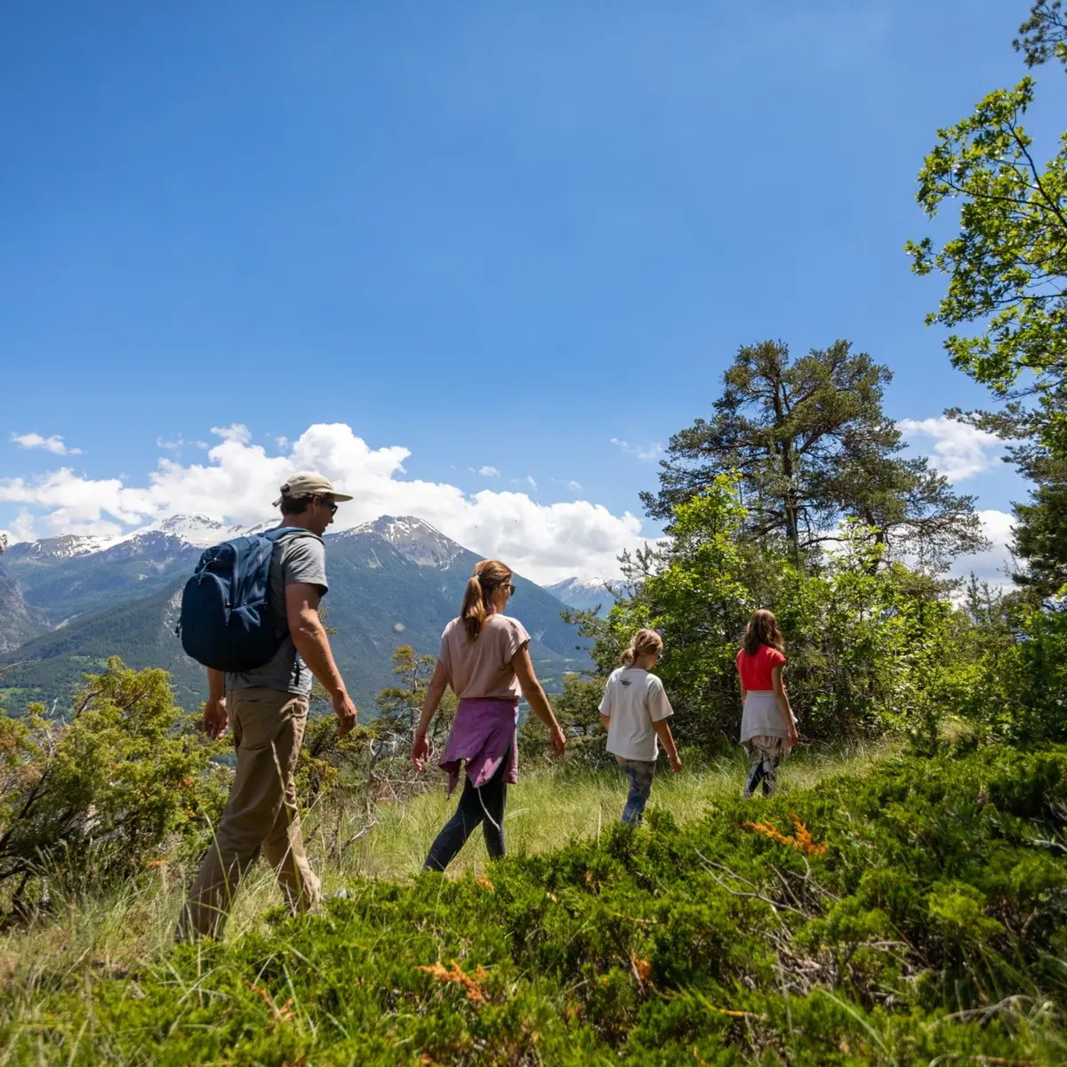 Montée au belvédère de Roche Rousse