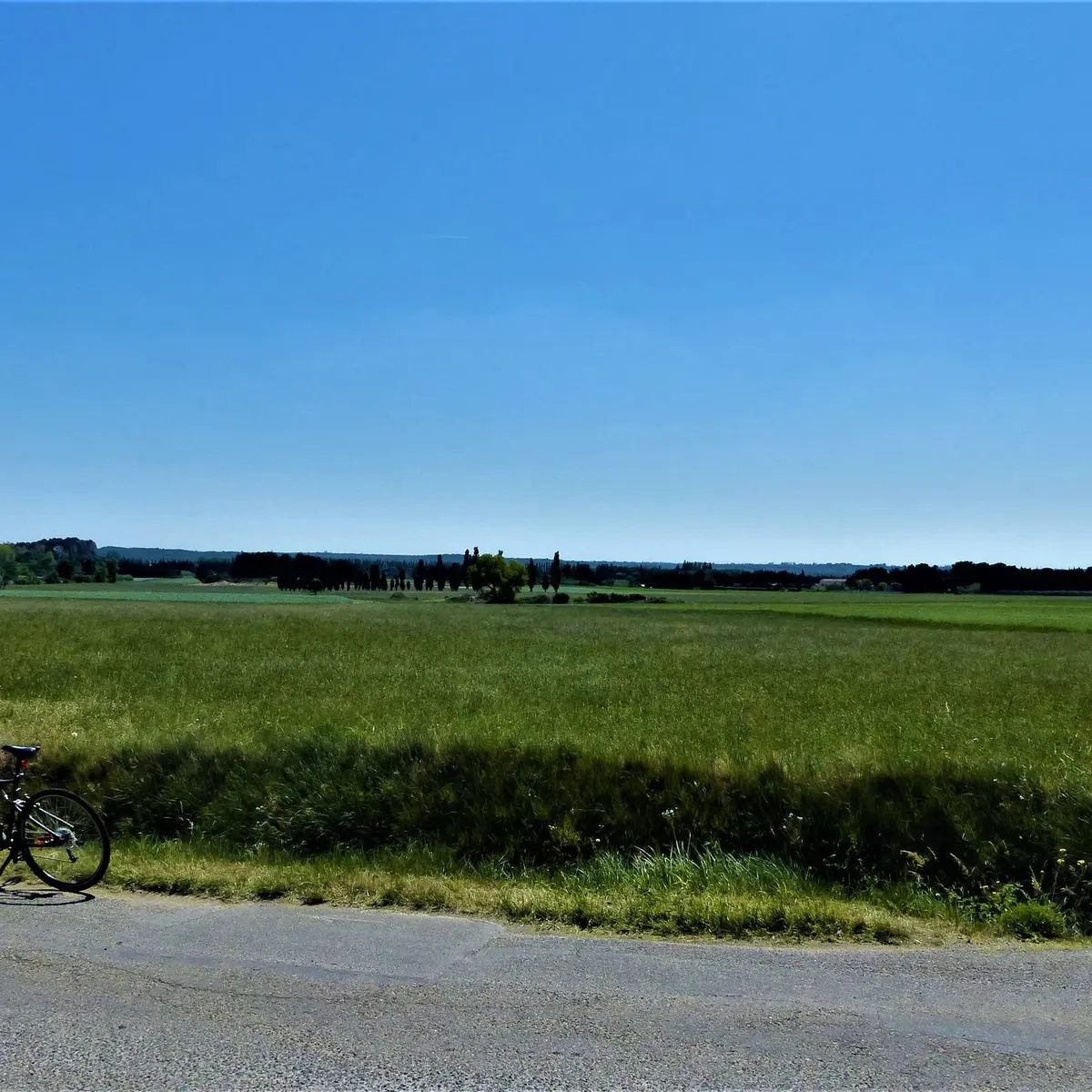 La plaine de Maussane-les-Alpilles