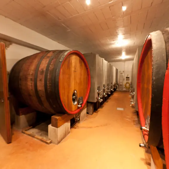 Domaine Pierre André